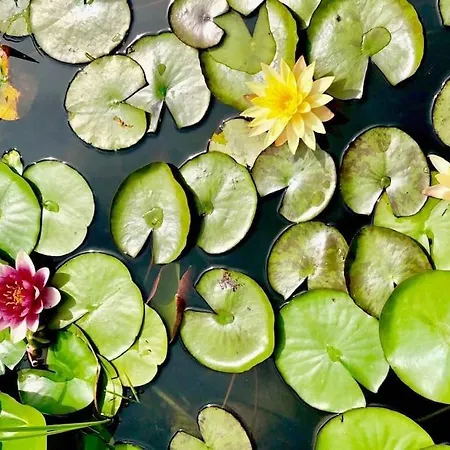 Luxueuse Oasis Ecologique A Proximite Du 别墅 普利维伦吉斯