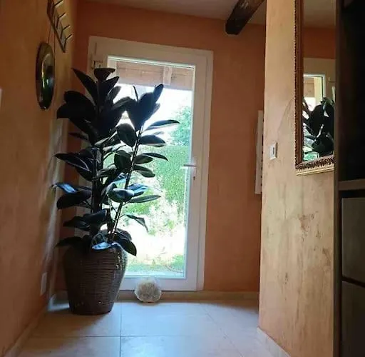 Luxueuse Oasis Ecologique A Proximite Du Willa *