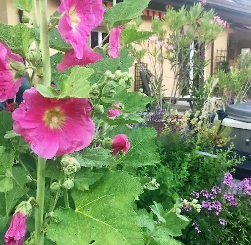 Luxueuse Oasis Ecologique A Proximite Du וילה *