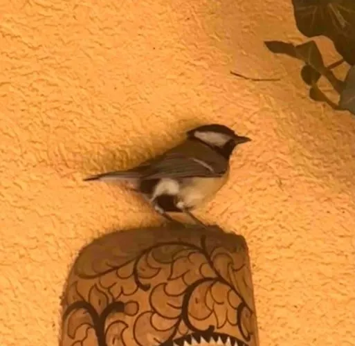 Luxueuse Oasis Ecologique A Proximite Du Willa Preverenges