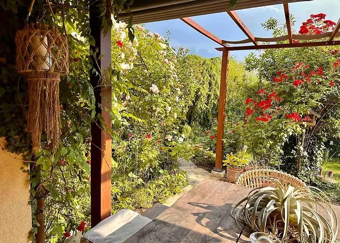 Luxueuse Oasis Ecologique A Proximite Du Willa