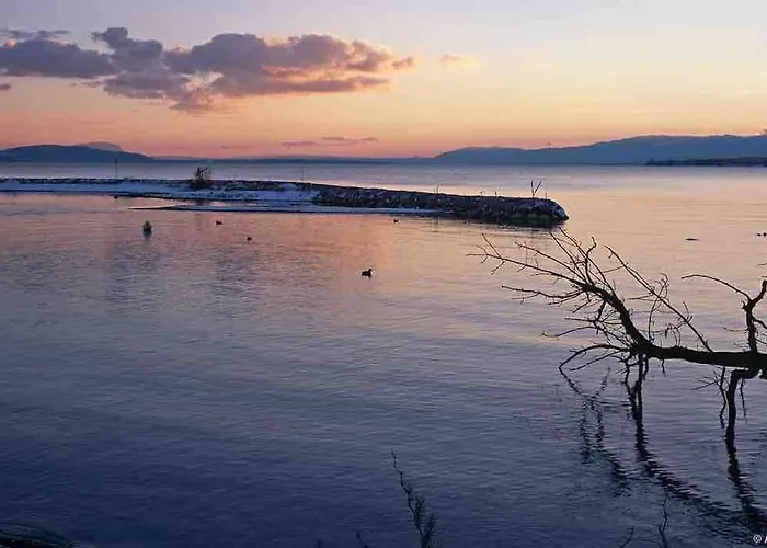 Willa Luxueuse Oasis Ecologique A Proximite Du Preverenges