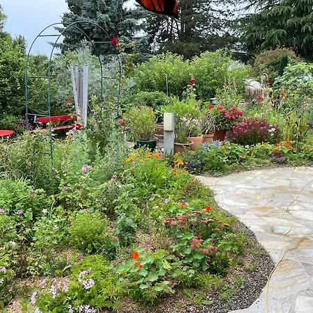 Luxueuse Oasis Ecologique A Proximite Du فيلة بريفيرينغيز